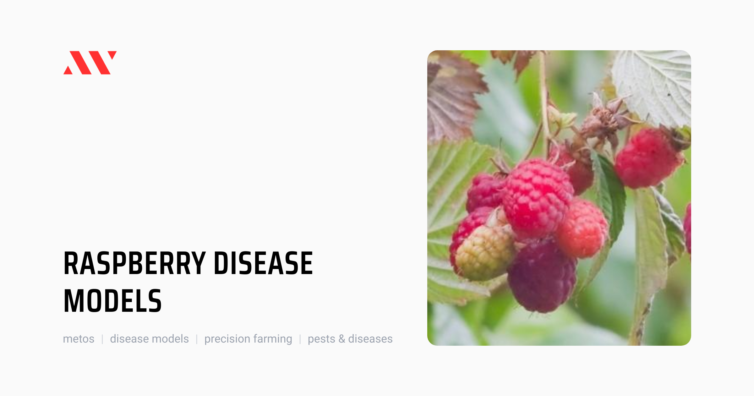 Raspberry disease models by Pessl Instruments | Precision Farming ...