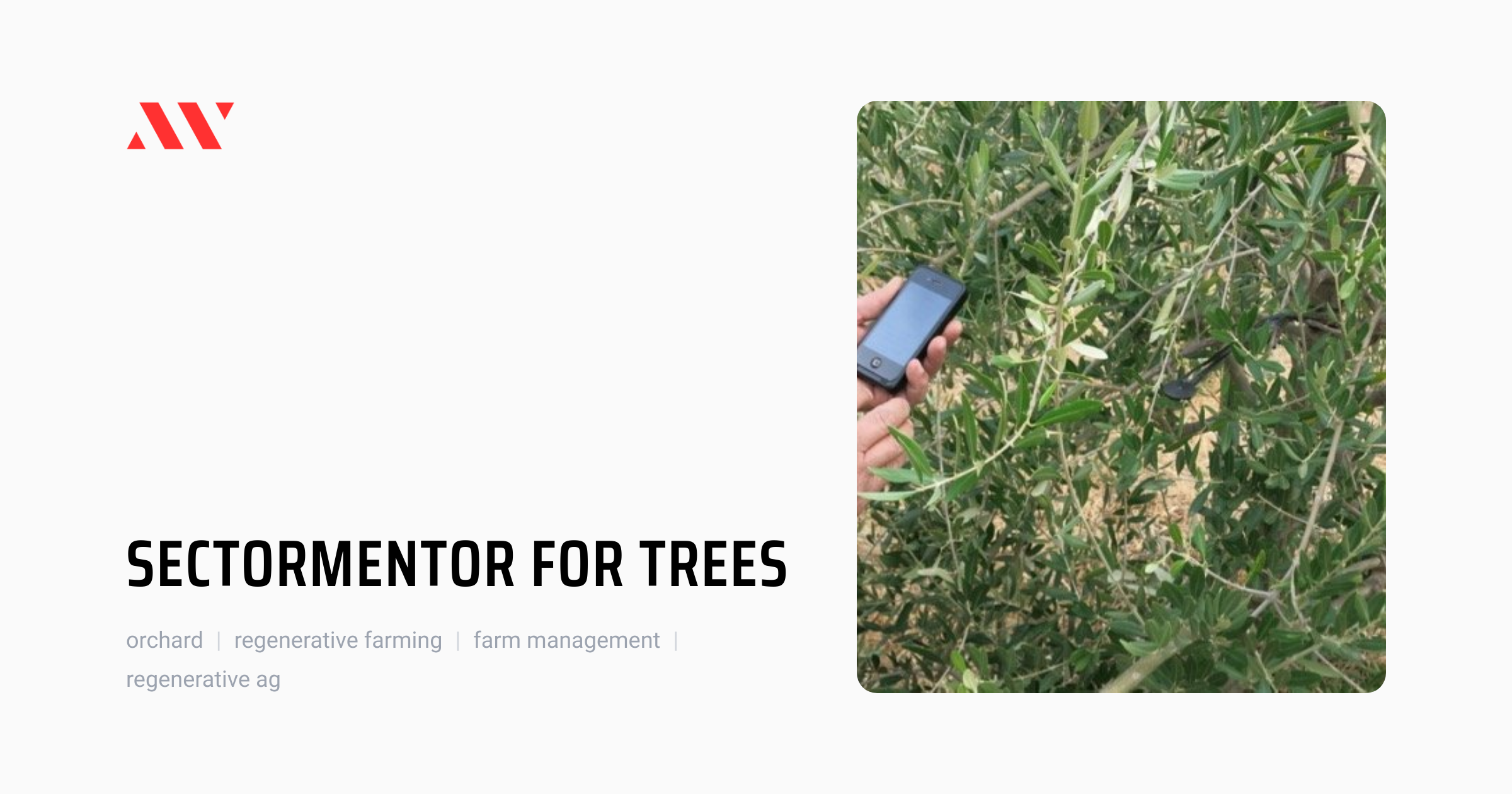 Sectormentor for Trees by Vidacycle | Farm Management | AgTech World