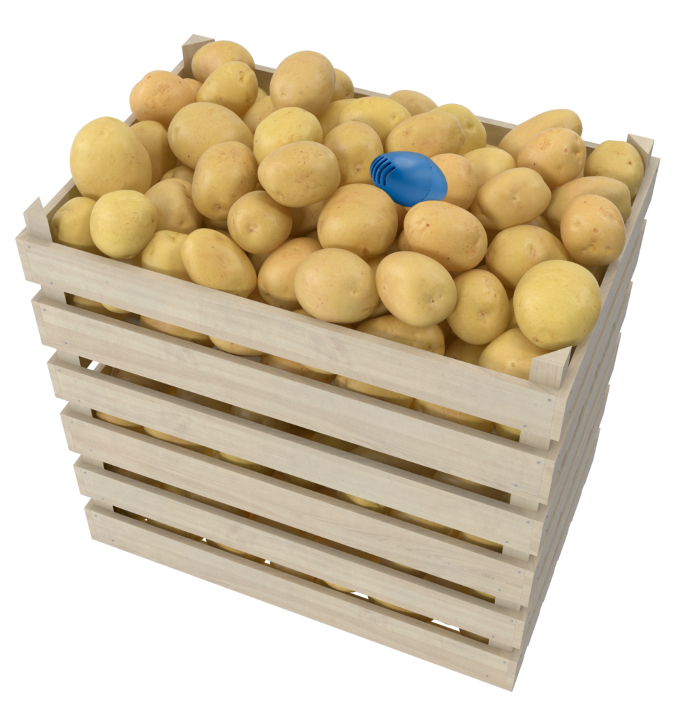 Potatoes-crate-974x1024
