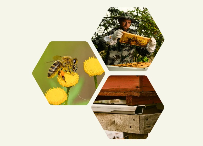 Smart Beehive Scales