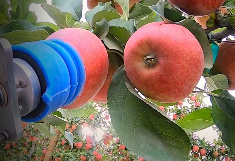 Apple Harvester
